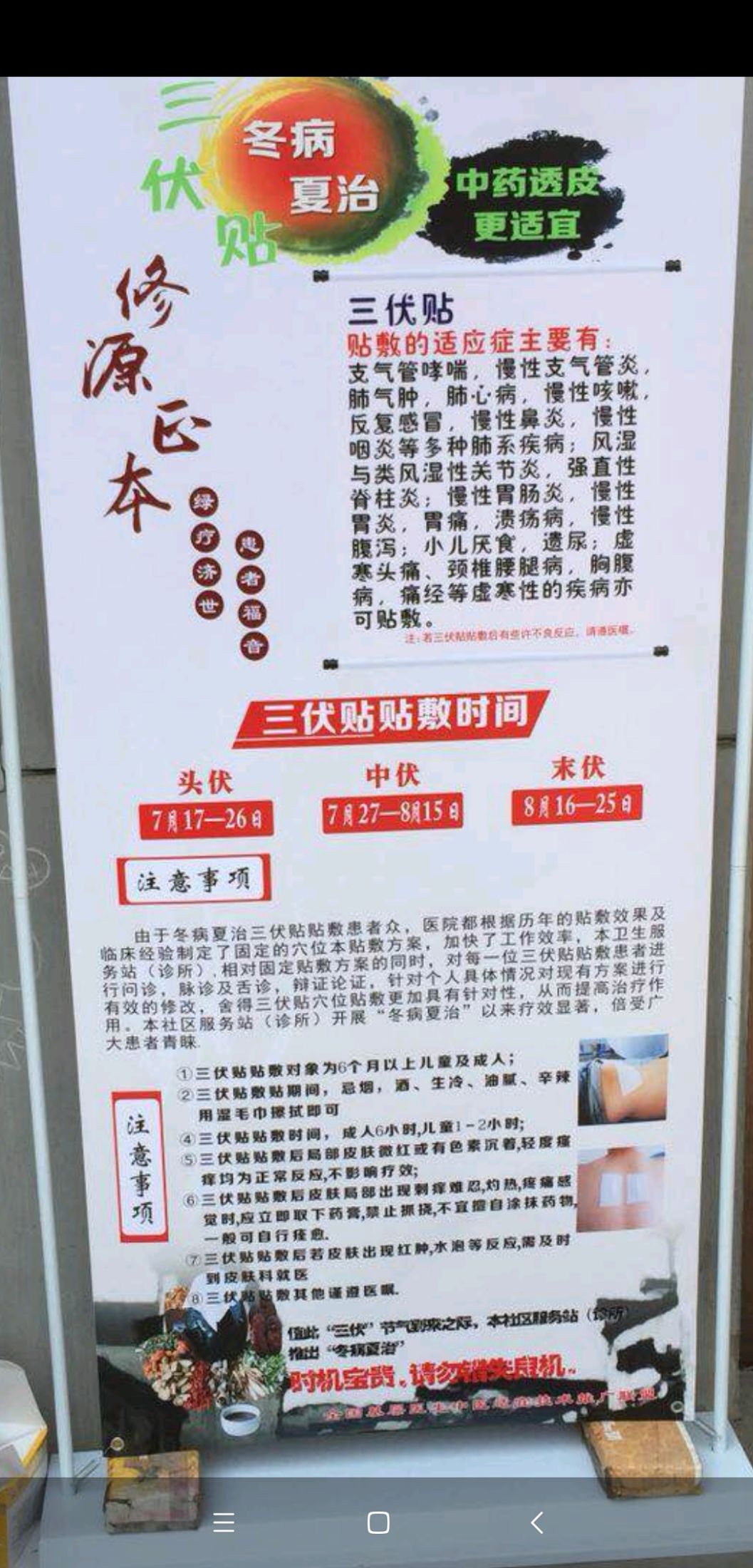 1、介紹三伏貼敷
