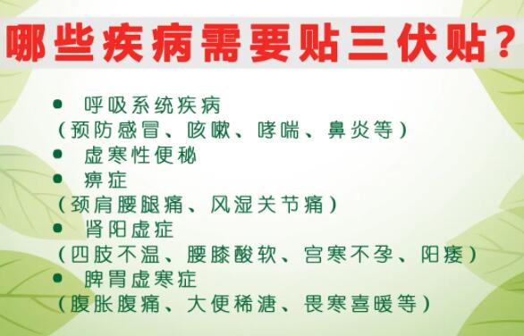 2、什么是三伏貼？三伏貼的作用？