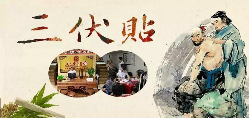 2、什么是三伏貼？三伏貼的作用？